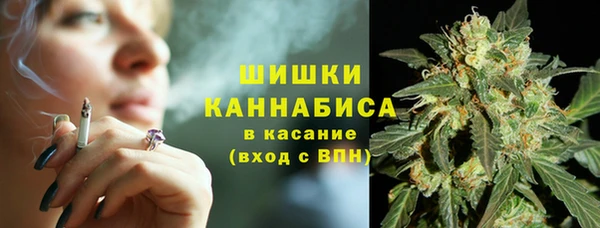 гидра Белокуриха