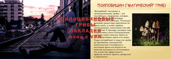 гидра Белокуриха