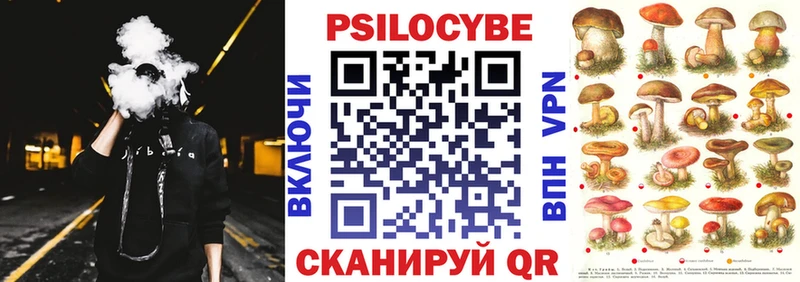Псилоцибиновые грибы Cubensis  закладка  Кологрив 